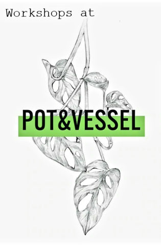 Happy Houseplants Workshop with Pot&Vessel (06.06.24)