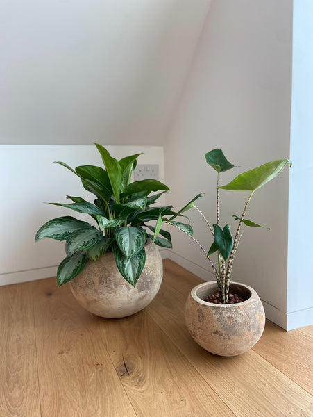 Globe Pot in two sizes