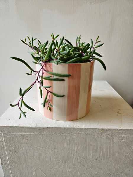 Stripe pot