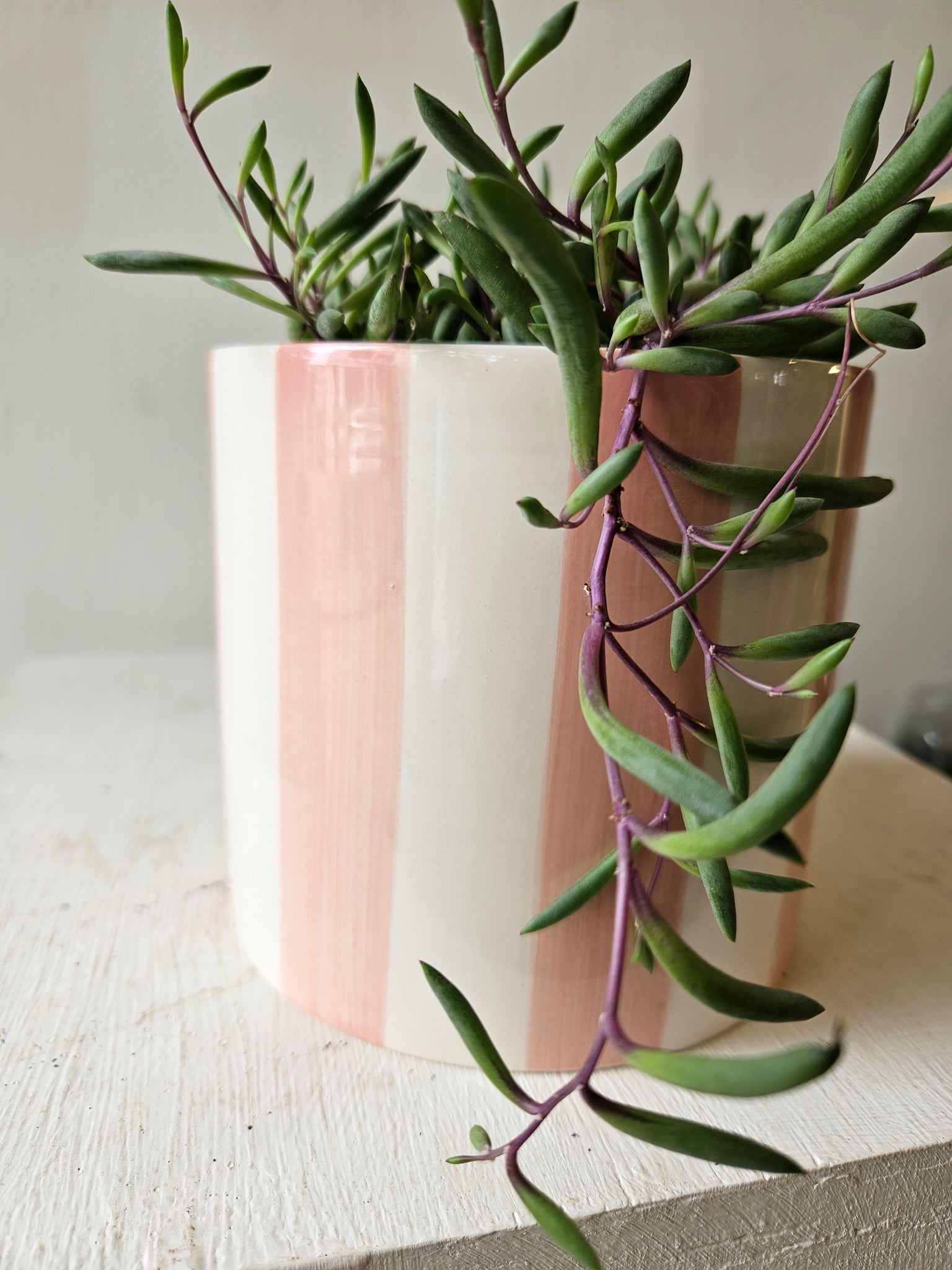 Stripe pot