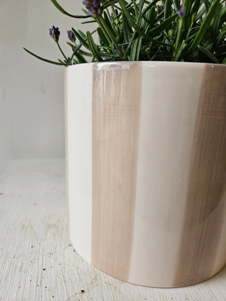 Stripe pot