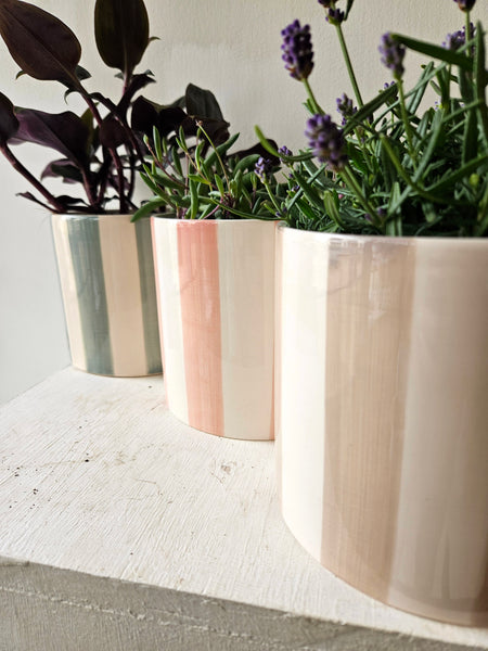 Stripe pot