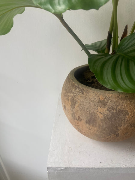Globe Terracotta Pot