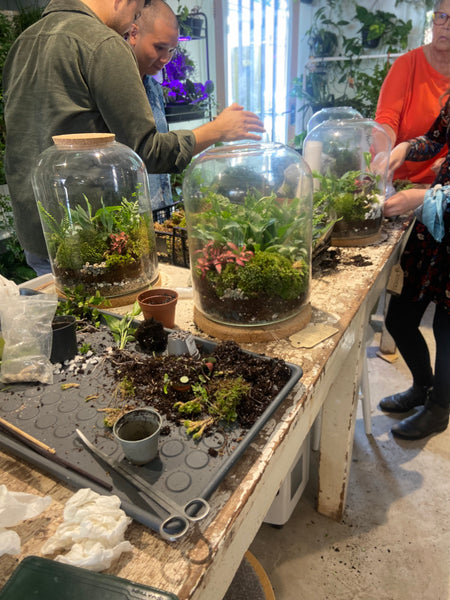 Terrarium Workshop for Mothers Day with POT&VESSEL 30.03.25