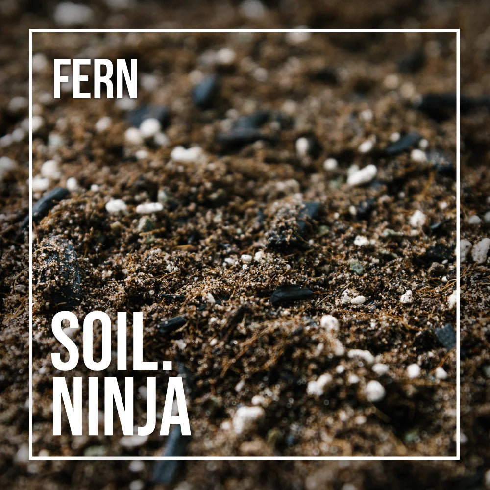 Soil Mix: Fern Blend