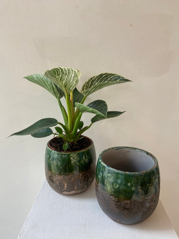 Green Lava Pot