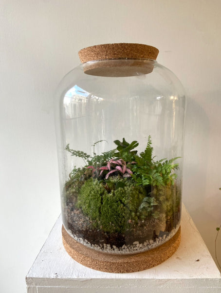 Glass Terrarium XL( empty)