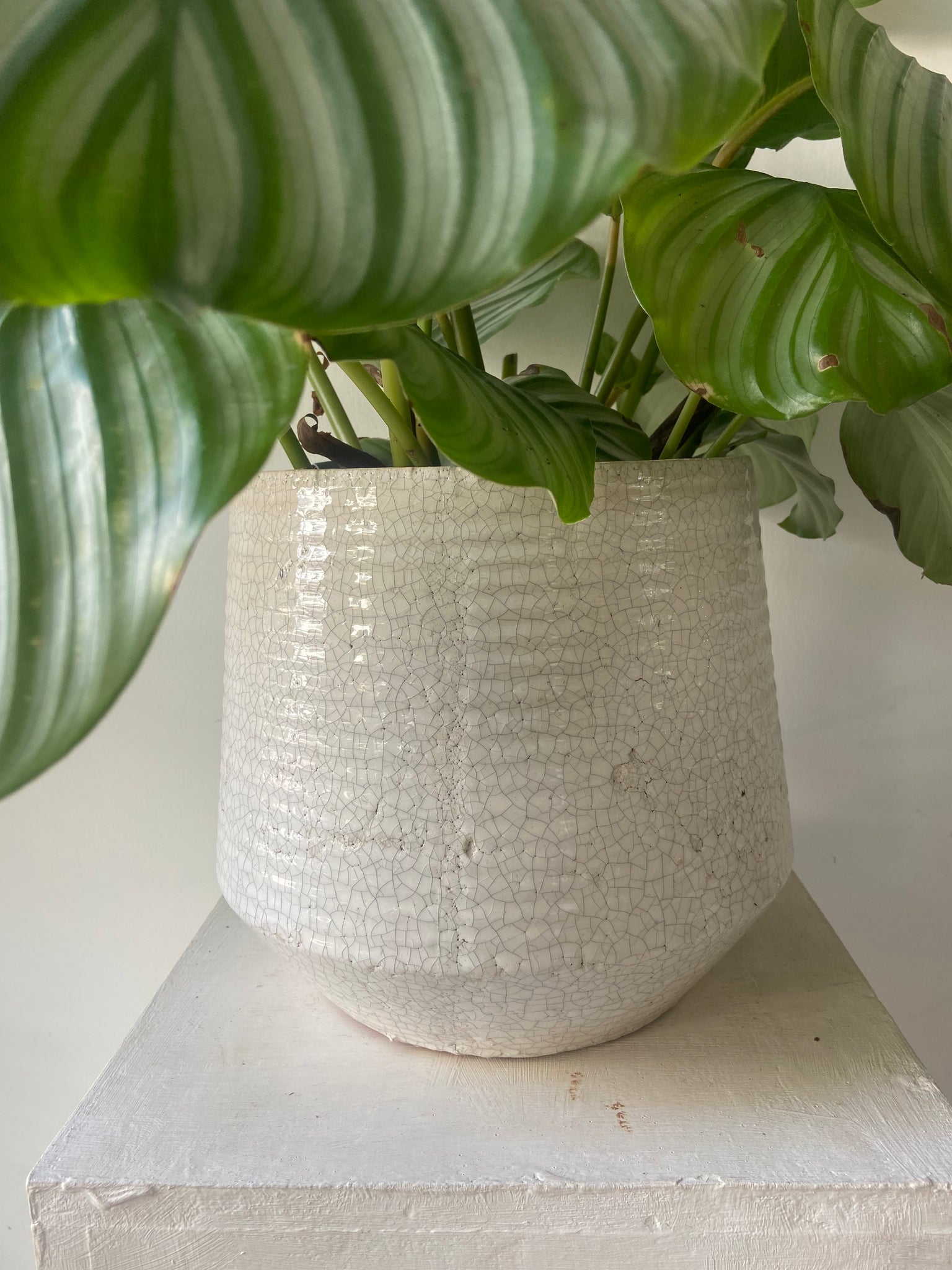 Ravello White Ceramic Pot in two sizes