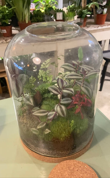 Terrarium Workshop for Mothers Day with POT&VESSEL 30.03.25