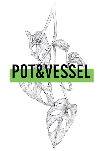 Pot&Vessel