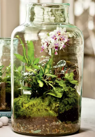 Terrarium Workshop with POT&VESSEL Sunday 26.01.25