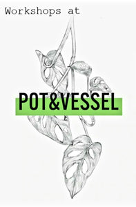 Happy Houseplants Workshop with Pot&Vessel (07.03.24)