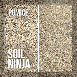 Soil Component: Pumice