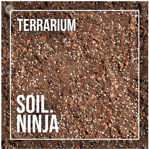 Soil Mix: Terrarium Blend