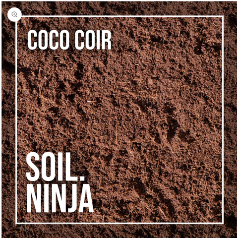 Soil Component: Coco Coir