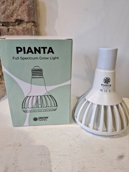 Pianta Houseplant Grow Light