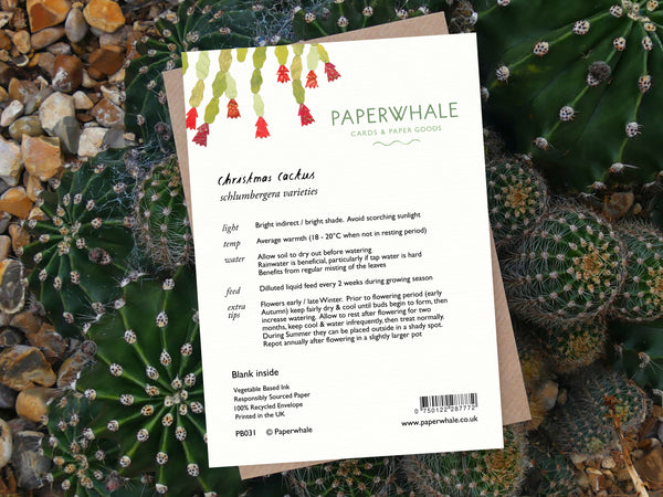 Card - Christmas Cactus