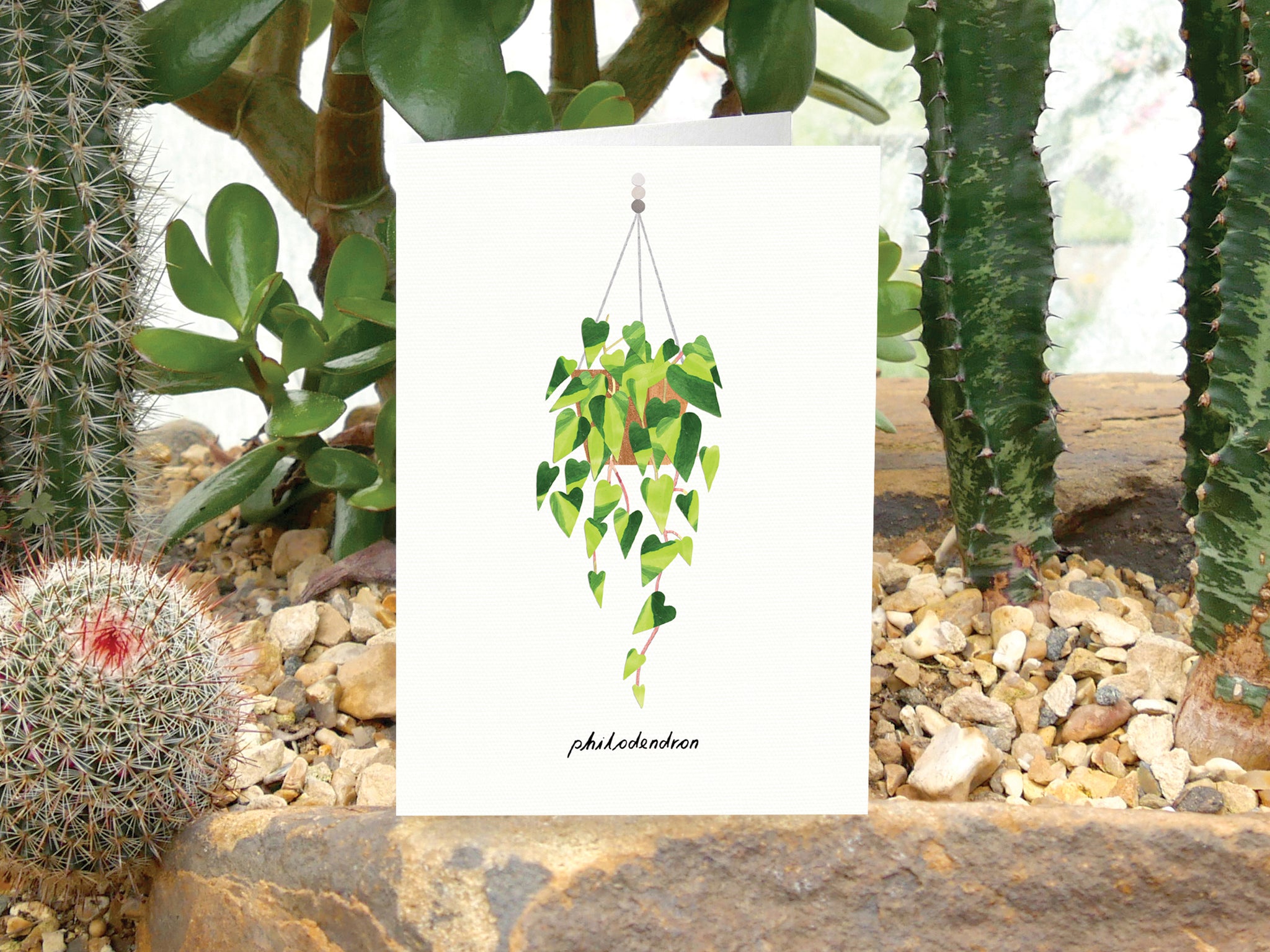Card - Philodendron