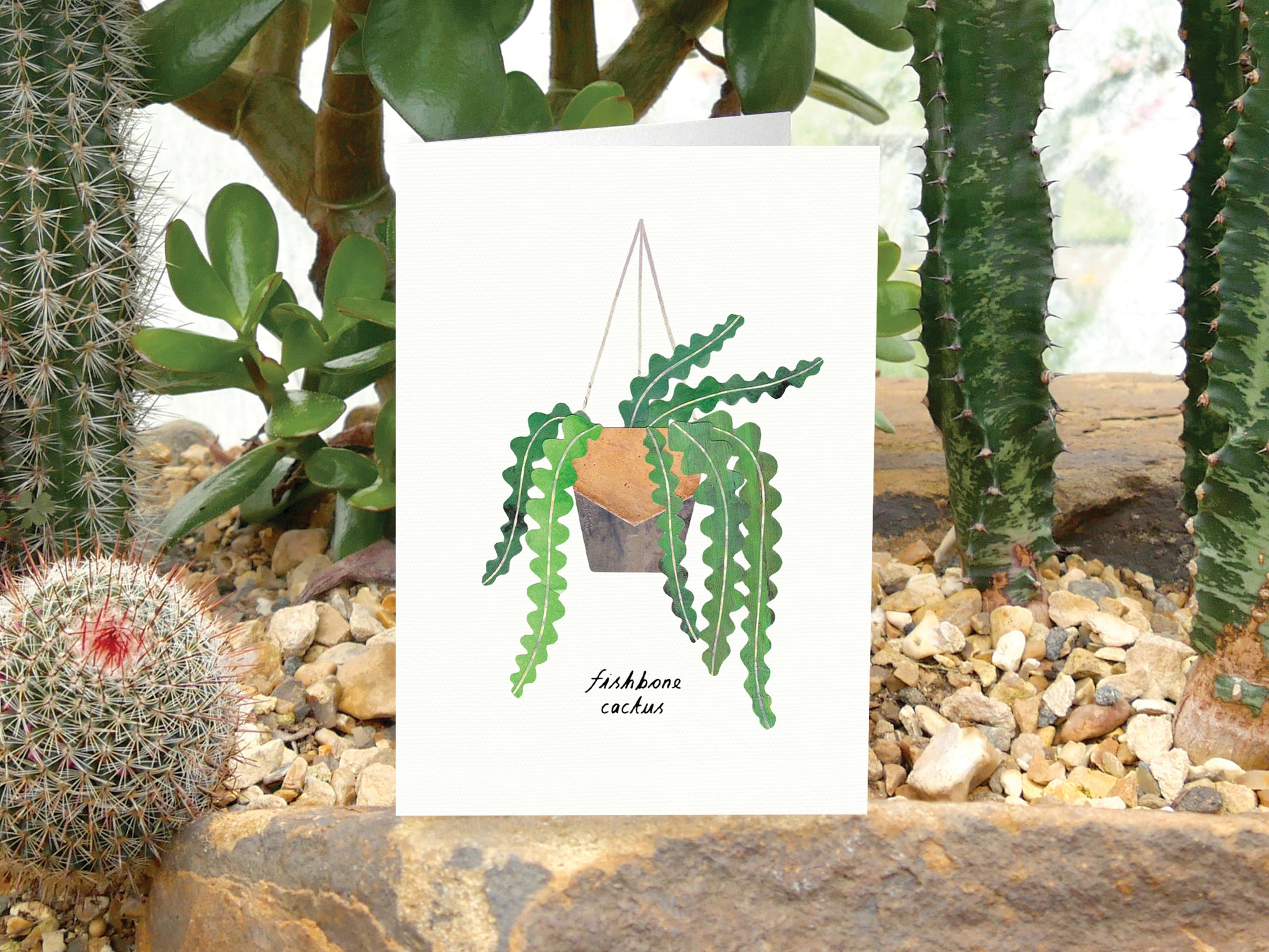 Card - Fishbone Cactus