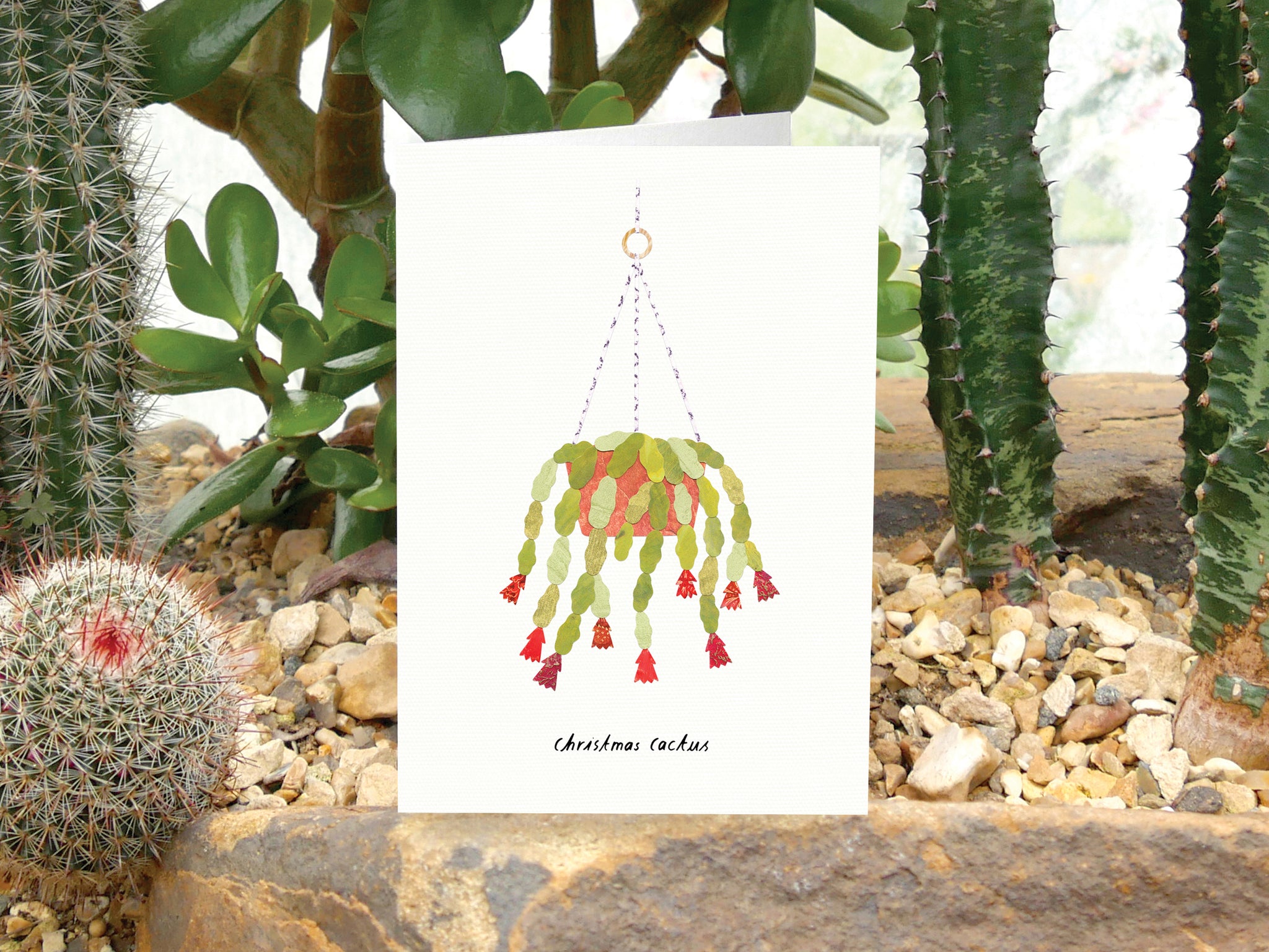 Card - Christmas Cactus