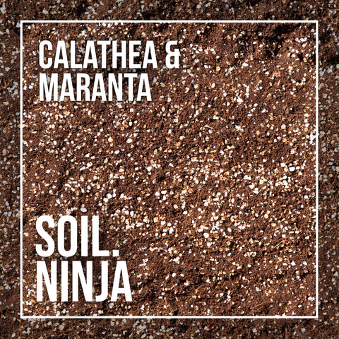 Soil Mix: Calathea & Maranta
