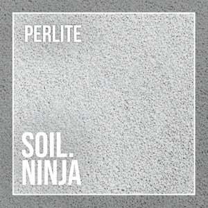 Soil Component: Perlite