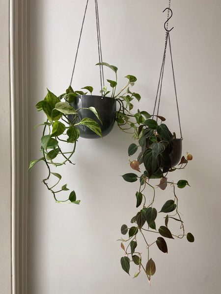 Metal Hanging Plant Pot